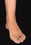 SSJ034-.jpg